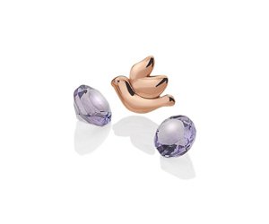 Přívěsek Hot Diamonds Holubice Anais EX103