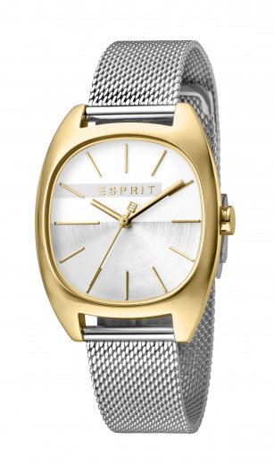 Hodinky ESPRIT Infinity Silver Gold Mesh