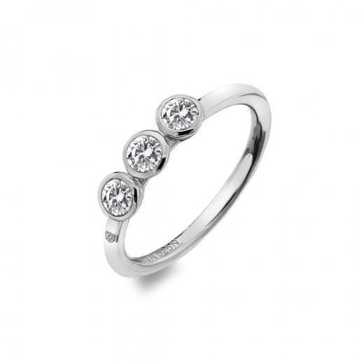 Stříbrný prsten Hot Diamonds Willow DR205