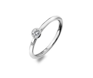 Stříbrný prsten Hot Diamonds Willow DR206